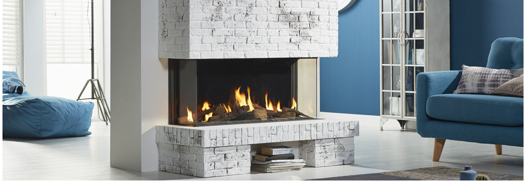 Balanced Flue Gas Fire